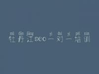 牡丹江seo一对一培训，经典网站建设