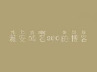 雅安域名seo的博客 seo视频教程哪个出名