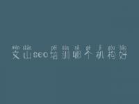 文山seo培训哪个机构好 日本网站优化