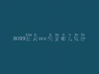 2022庄河seo究竟哪儿较好_一般费用得多少