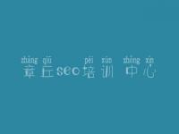 章丘seo培训 中心 网站自动优化