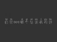 白银seo哪个培训机构好_合优网站建设