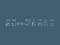 眉山seo程序员培训_网站建设建网站