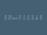 岳阳seo学习培训机构_网站建设网