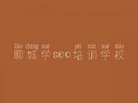 聊城学seo培训学校_网站优化如何