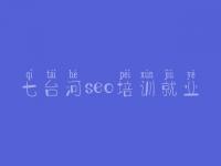 七台河seo培训就业 速成网站建设