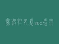 绵阳什么是seo培训_优化关键词