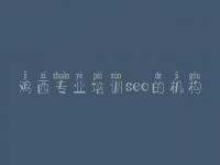 鸡西专业培训seo的机构 福建网站优化