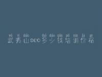 武夷山seo多少钱培训价格_网站建网站建设