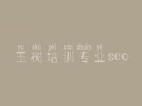 玉树培训专业seo 针对别人网站优化