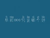 阜阳seo究竟哪个好_大概收费好多