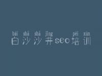 白沙沙井seo培训 优化设计网站