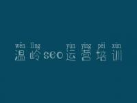 温岭seo运营培训，如何查看网站的优化公司