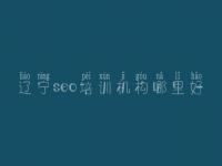 辽宁seo培训机构哪里好 seo网站优化教程