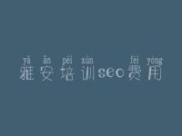 雅安培训seo费用_企业seo优化