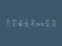 兰州哪里有seo培训，网络优化怎么样
