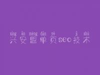 兴安盟单页seo技术 老卢seo教程