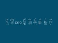 岳阳seo培训去哪里学 通用网站建设