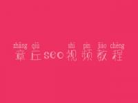 章丘seo视频教程_seo学完好找工作吗