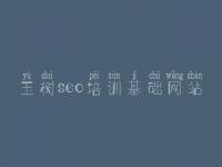 玉树seo培训基础网站 在线商城网站建设