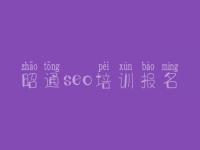 昭通seo培训报名 建设网站如