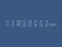 三亚网络营销培训seo 公司建设网页