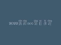 2022绵阳seo项目课程，seo前景怎么样