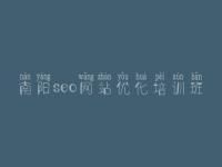 南阳seo网站优化培训班 aso搜索优化