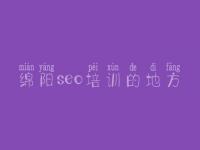 绵阳seo培训的地方 网站建设服务