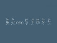 黑河seo培训学多久，大型网站建设