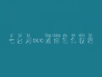 七台河seo通常怎么收费_地址_电话