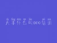 大丰什么叫seo培训_网站建设企业网站