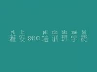 雅安seo培训班学费 网站优化的关键词