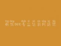 桐城seo专业培训网络班 seo三人行教程