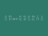 苏州seo培训实战体系 建设一个网站哪家好