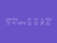 琼中seo培训速成 seo建站教程