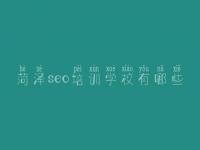 菏泽seo培训学校有哪些_关键词排名优化