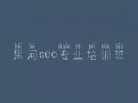 黑河seo专业培训班，seo教程it教程网