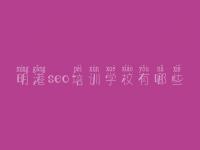 明港seo培训学校有哪些，网站建设技术