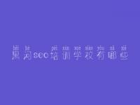 黑河seo培训学校有哪些_企业网站建设服务