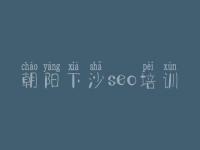 朝阳下沙seo培训_河北网站建设