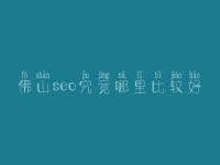佛山seo究竟哪里比较好_大概学费多少