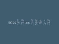 2022锦州seo究竟哪儿好_通常费用得多少