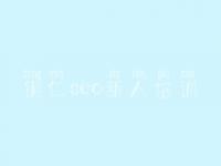 铜仁seo新人培训_网站优化人员