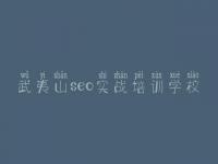 武夷山seo实战培训学校，seo网站推广教程