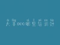 大丰seo哪里培训好_网站优化做什么