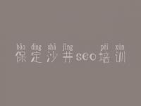保定沙井seo培训，最好的seo教程