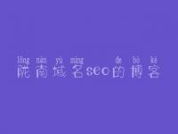陇南域名seo的博客 网页设计优化