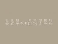 娄底学seo的培训学校，方法seo顾问