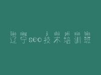 辽宁seo技术培训班，在哪网站建设